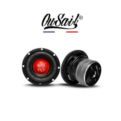 Loa Subwoofer R65