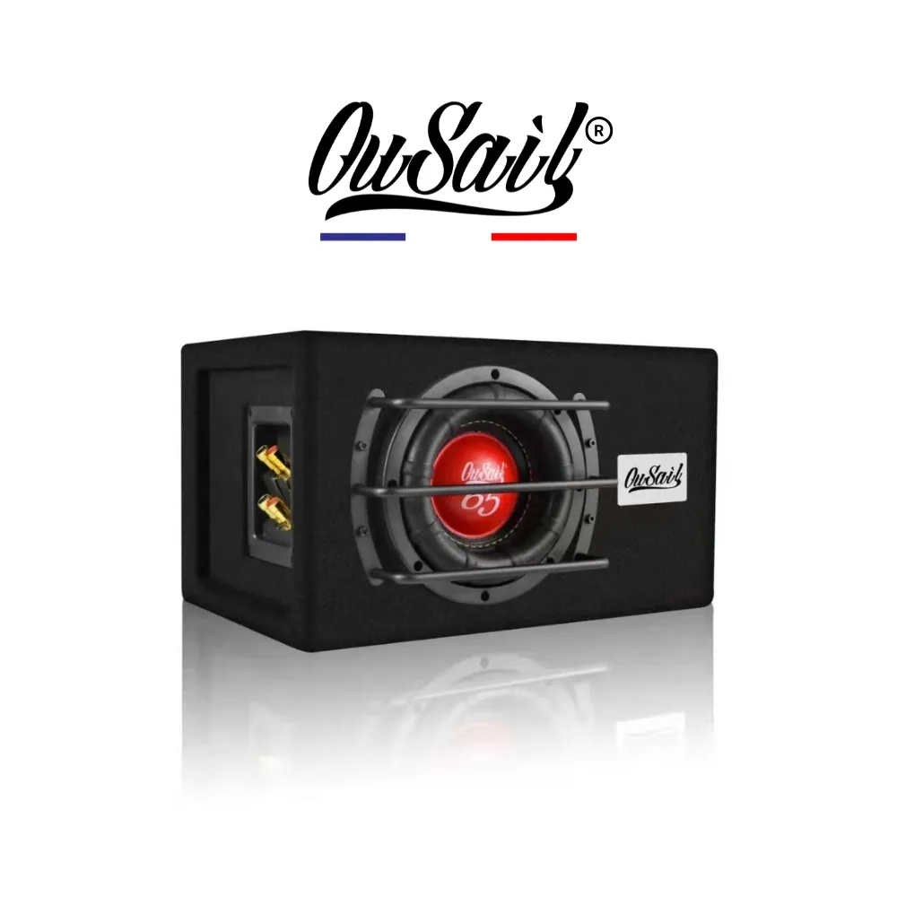 Loa Subwoofer R65X Loa Subwoofer R65X