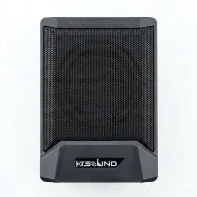 LOA SUBWOOFER KT SOUND S65A